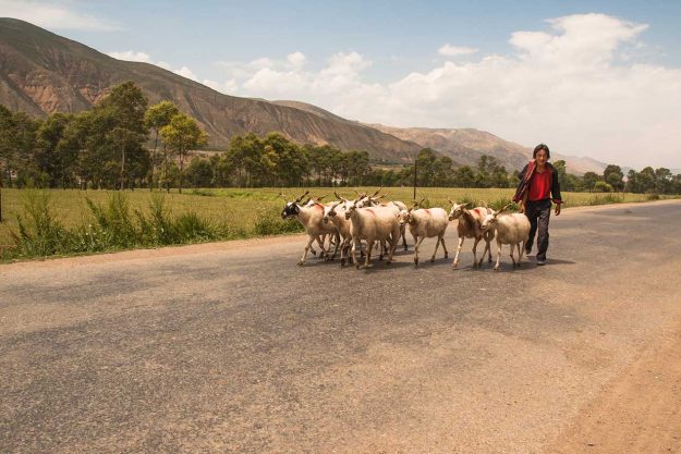 Bupa Bopi The Allbrary Photo Gallery Tongren China_11 Bupa Bopi The Allbrary Photo Gallery Tongren China_11